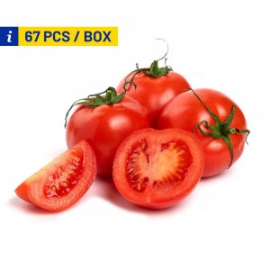 Round (Salad) Tomatoes – Bulk Wholesale Supply, 6 Kgs, 67 pcs