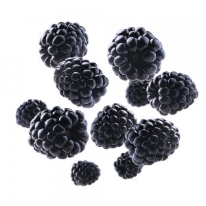 Blackberries, 2.5 Kgs, 125 Grams x 20 Pcs / box, UK-Grown
