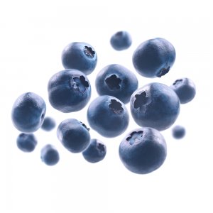 Blueberries 1.5 Kgs, 125 Grams punnets, Italia