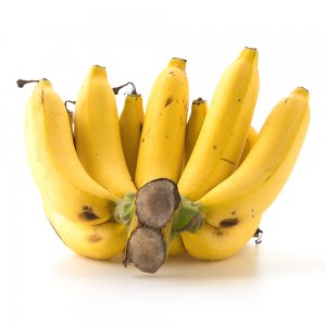Bananas, 18 Kgs