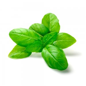 Basil, Israel, 100 gr, 10 pcs