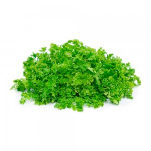 Chervil, Israel, 100 gr, 10 pcs