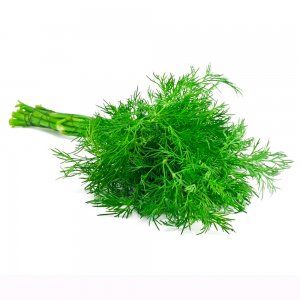 Dill, Israel, 100 g, 10 pcs
