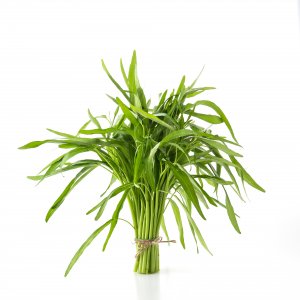 Tarragon, Israel, 100g, 10 pcs