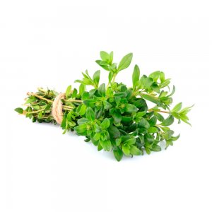 Thyme, Israel, 100 g, 10 pcs