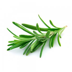 Rosemary, Israel, 100 g, 10 pcs