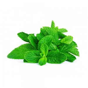 Mint, Israel, 100g, 10 pcs
